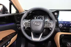 2023 Lexus NX 260 2WD Special Edition — фото 12