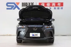 2023 Lexus NX 260 2WD Special Edition — фото 18