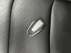2023 Geely Emgrand 4th Gen 1.5L CVT Premium Champion — фото 18
