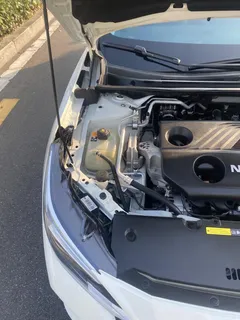 2023 Nissan Sylphy 1.6L CVT Enjoy, белый — фото 19