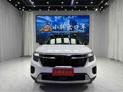 2023 Kia Seltos 1.5L IVT Luxury, белый — фото 2