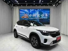 2023 Kia Seltos 1.5L IVT Luxury, белый — фото 3