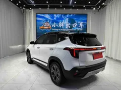 2023 Kia Seltos 1.5L IVT Luxury, белый — фото 6