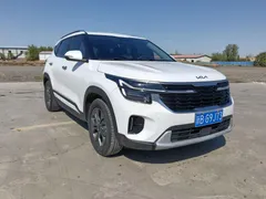 2023 Kia Seltos 1.5L IVT Luxury, белый — фото 4