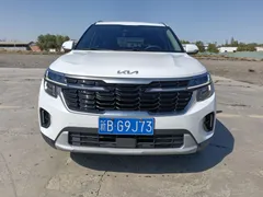 2023 Kia Seltos 1.5L IVT Luxury, белый — фото 5