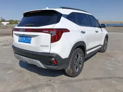 2023 Kia Seltos 1.5L IVT Luxury, белый — фото 6