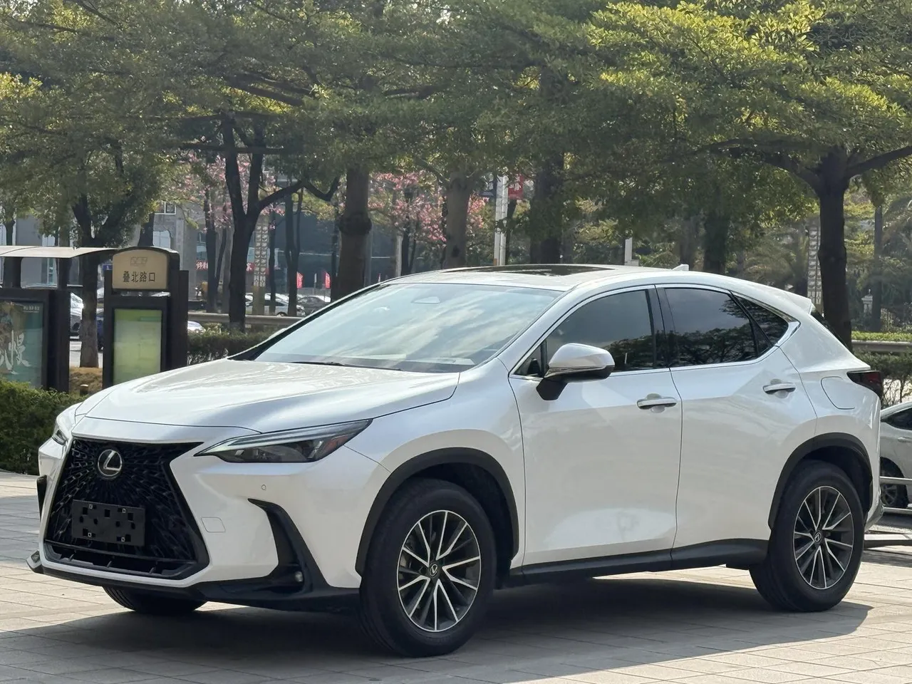 2022 Lexus NX 260 2WD