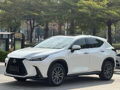 2022 Lexus NX 260 2WD, белый — фото 1