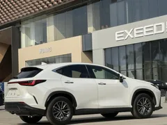 2022 Lexus NX 260 2WD, белый — фото 21