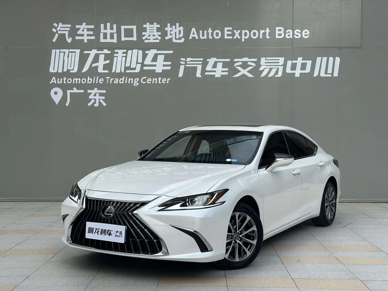 2022 Lexus ES 200 Excellence