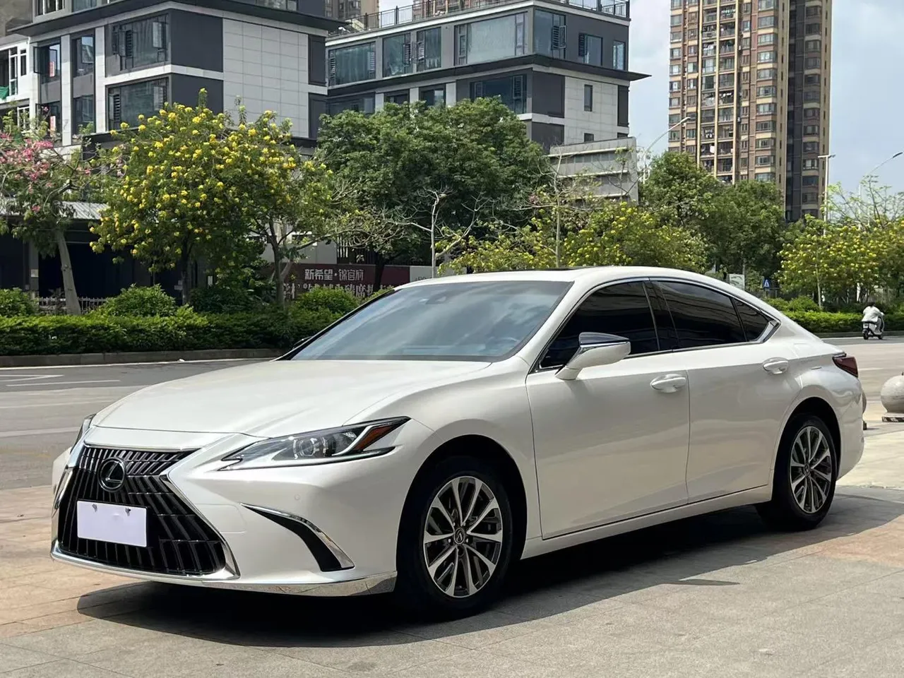 2022 Lexus ES 200 Excellence