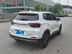 2023 Chery Tiggo 5x 1.5L CVT, белый — фото 7