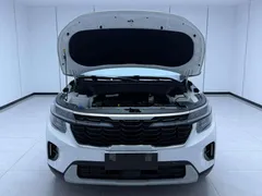 2023 Kia Seltos 1.5L IVT Luxury, белый — фото 7