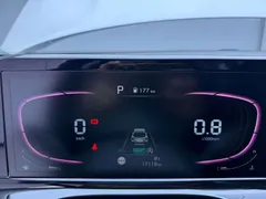 2023 Kia Seltos 1.5L IVT Luxury, белый — фото 11