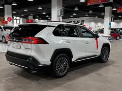 2023 Toyota Wildlander 2.0L 2WD Luxury Plus, белый — фото 16