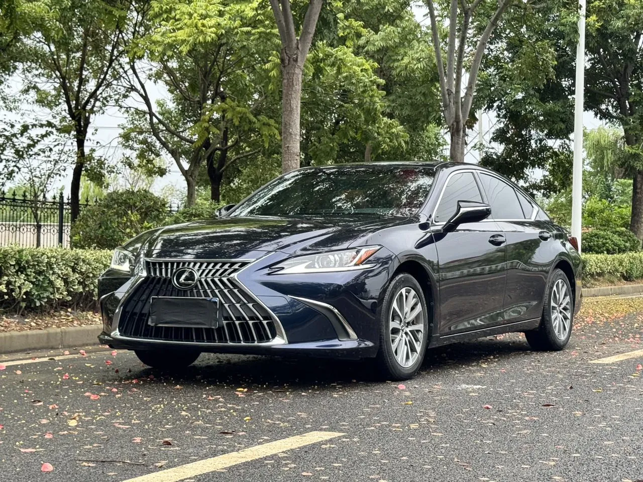 2021 Lexus ES 200 Luxury