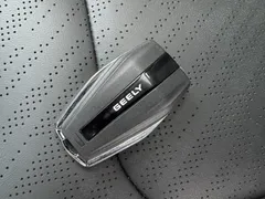 2022 Geely Emgrand 4th Gen 1.5L CVT Premium — фото 18
