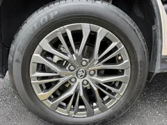 2023 Toyota Wildlander 2.0L 2WD Luxury Plus — фото 25