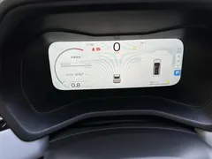2023 Geely Emgrand 1.5L CVT Luxury Champion 4th Gen — фото 10