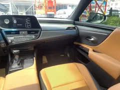 2021 Lexus ES 200 Excellence, белый — фото 18