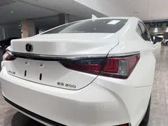 2021 Lexus ES 200 Excellence, белый — фото 27