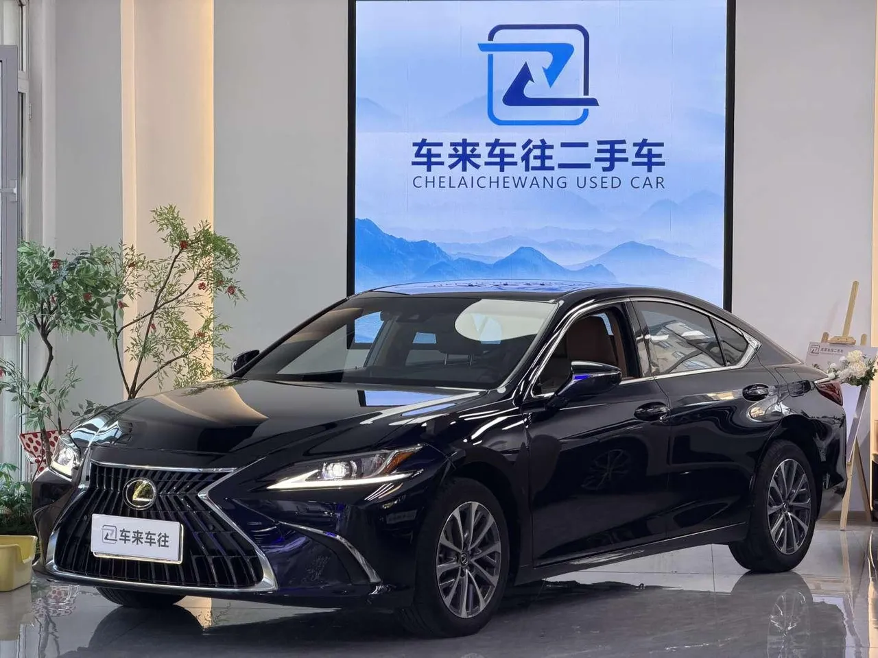 2022 Lexus ES 200 Excellence