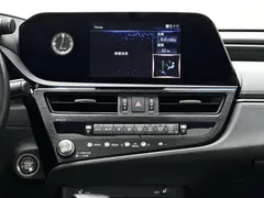 2021 Lexus ES 200 Excellence, синий — фото 16
