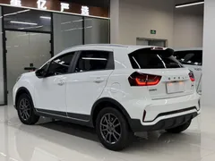 2021 Geely Vision X3 1.5L CVT Premium, белый — фото 20