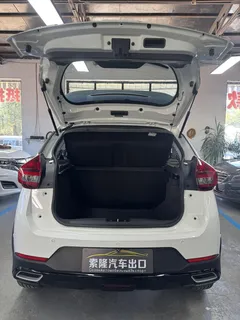2022 Chery Tiggo 3x Diamond 1.5L CVT Elite, белый — фото 11