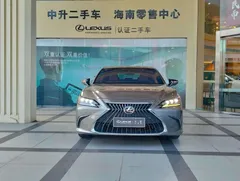 2022 Lexus ES 200 Excellence — фото 19