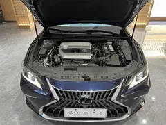 2021 Lexus ES 200 Excellence, синий — фото 5