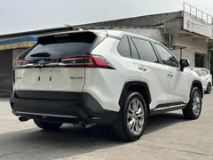 2021 Toyota Wildlander 2.0L 2WD Luxury, белый — фото 11