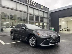 2022 Lexus ES 200 Excellence, чёрный — фото 2