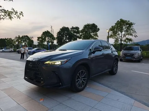 2022 Lexus NX 260 2WD