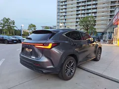 2022 Lexus NX 260 2WD — фото 5