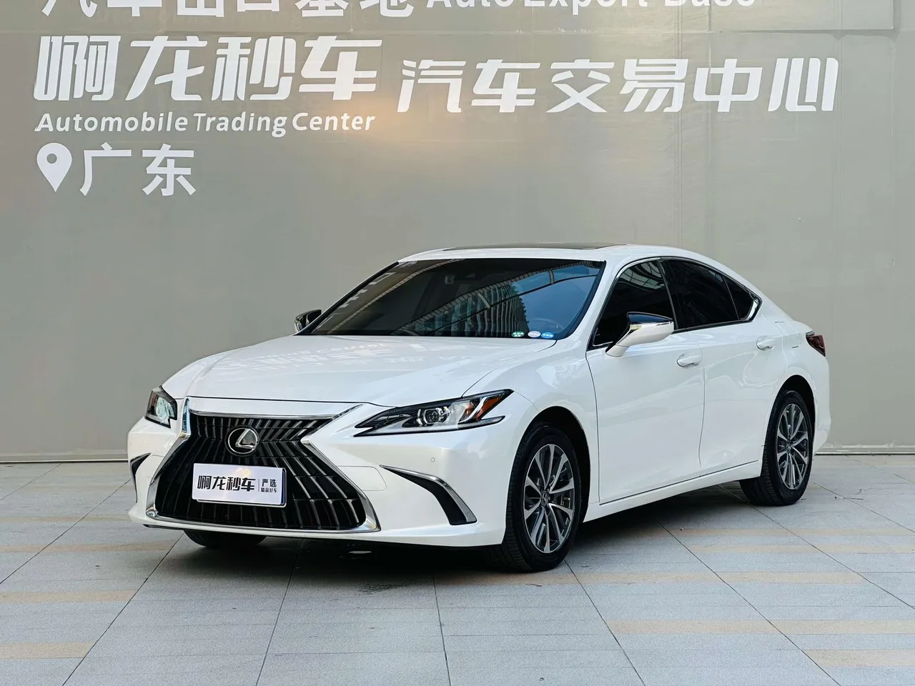 2022 Lexus ES 200 Excellence