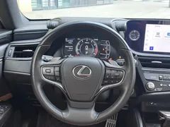 2023 Lexus ES 260 Excellence, синий — фото 15