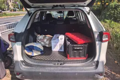 2022 Toyota Wildlander 2.0L 2WD Luxury, белый — фото 11