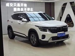 2023 Kia Seltos 1.5L IVT Luxury, белый — фото 3