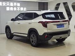 2023 Kia Seltos 1.5L IVT Luxury, белый — фото 4