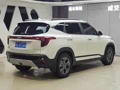 2023 Kia Seltos 1.5L IVT Luxury, белый — фото 6