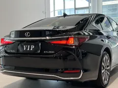 2021 Lexus ES 200 Luxury, чёрный — фото 5