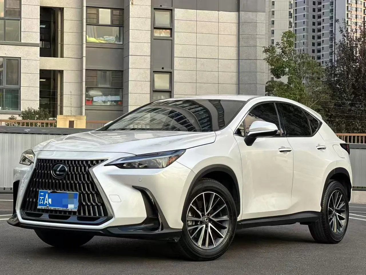 2022 Lexus NX 260 2WD