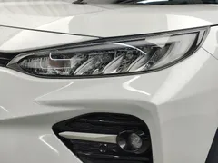 2022 Toyota Wildlander 2.0L 2WD Luxury Plus, белый — фото 18