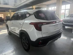 2023 Kia Seltos 1.5L IVT Luxury, белый — фото 7