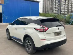 2021 Nissan Murano 2.5L XE 2WD Elite, белый — фото 6