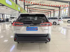 2023 Toyota Wildlander 2.0L 2WD, белый — фото 7