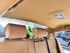 2021 Lexus ES 200 Excellence, зелёный — фото 23