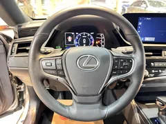 2022 Lexus ES 200 Excellence — фото 11