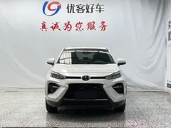 2022 Toyota Wildlander 2.0L 2WD Luxury Plus, белый — фото 2